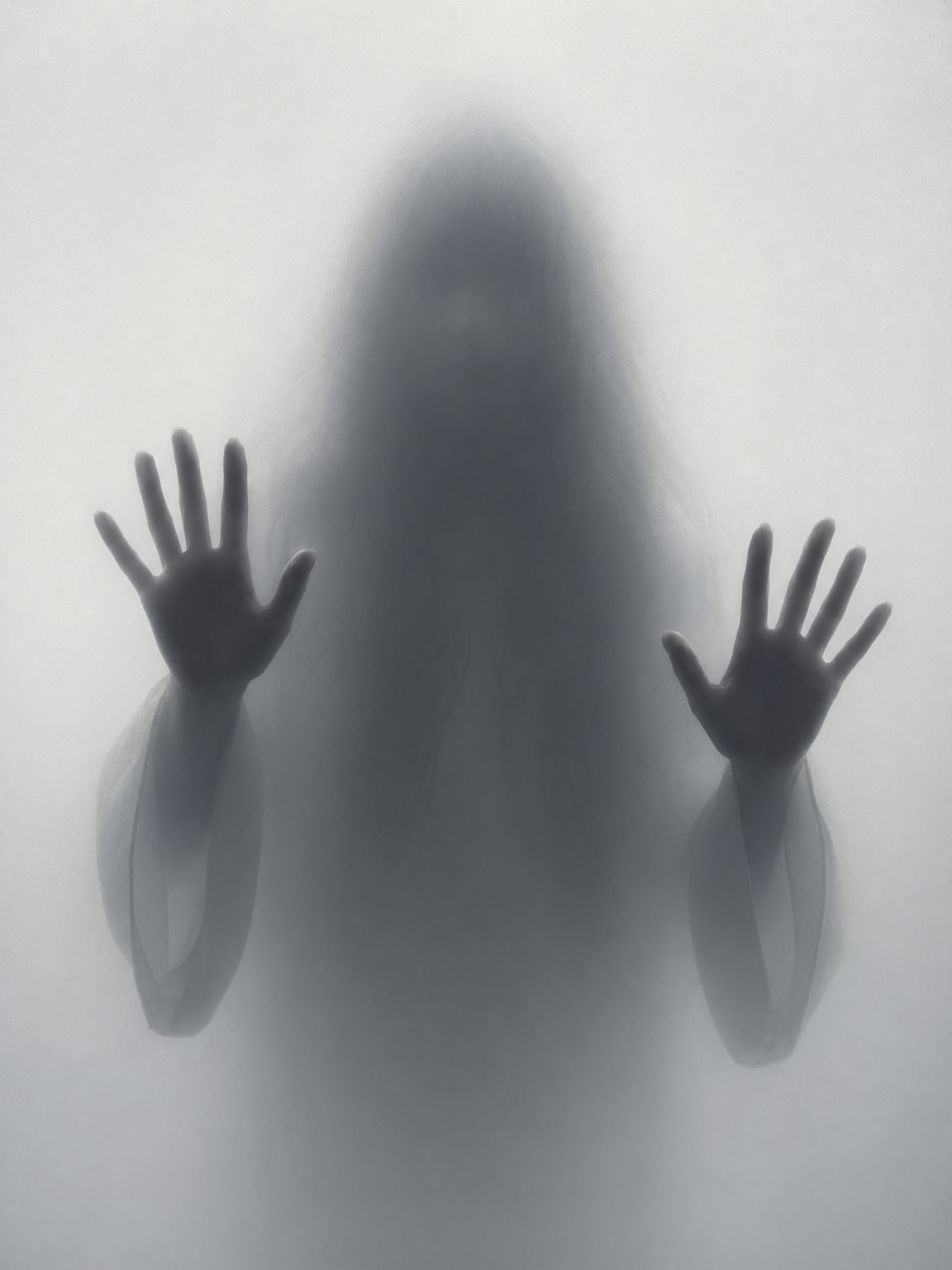 Minimalist art silhouette of a long haired female character behind semi transpa...